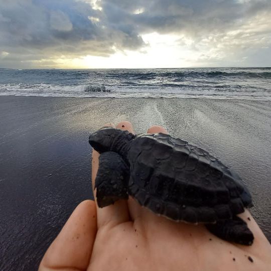 ④【オンラインツアー】バリ島のおすすめスポットツアー＋おすすめお土産Ａ＆Ｂセット