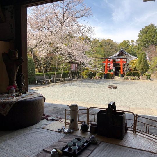 【リアルイベント】小川流煎茶「桜のお茶会」お一人様分チケット(4月3日)