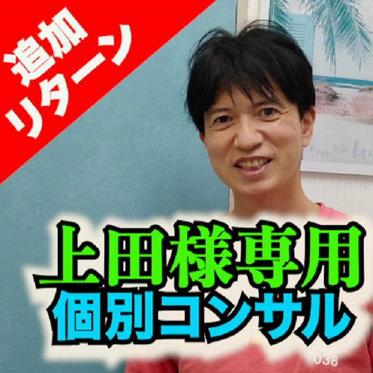 上田様専用!個別コンサルティング
