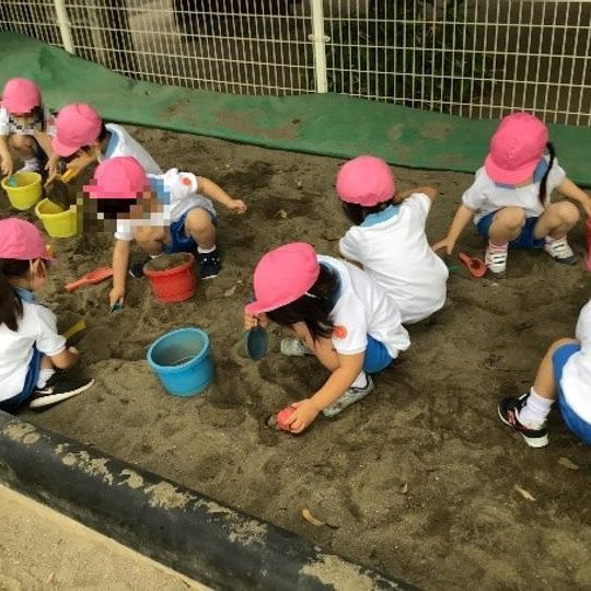 「日体幼稚園」応援コース