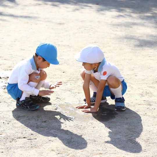 「日体幼稚園」応援コース