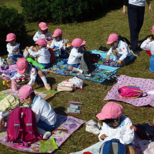 「日体幼稚園」応援コース
