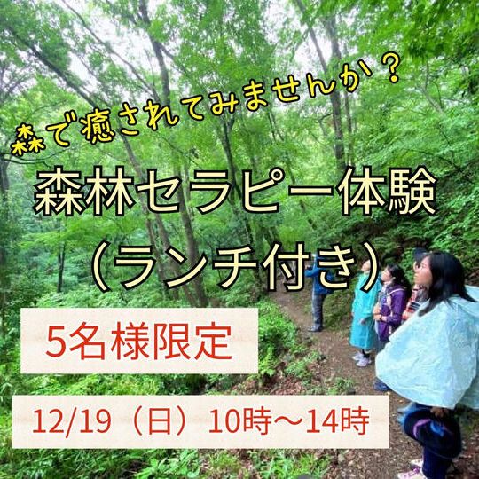 森林セラピー第二弾　(ランチ付き)　限定5名様