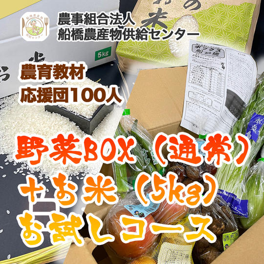 【農育応援団】感謝のお手紙と美味しい野菜通信臨時創刊号コース＋旬の野菜BOX（通常）＋お米（5kg）お試しコース