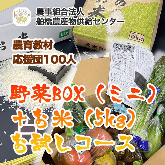 【農育応援団】感謝のお手紙と美味しい野菜通信臨時創刊号コース＋旬の野菜BOX（ミニ）＋お米（5kg）お試しコース