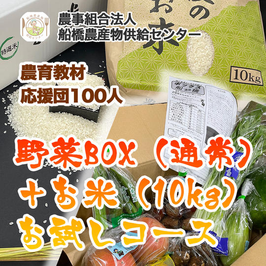 【農育応援団】感謝のお手紙と美味しい野菜通信臨時創刊号コース＋旬の野菜BOX（通常）＋お米（10kg）お試しコース