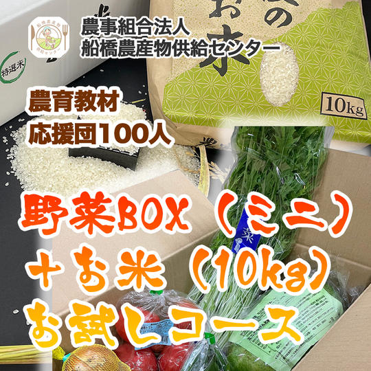 【農育応援団】感謝のお手紙と美味しい野菜通信臨時創刊号コース＋旬の野菜BOX（ミニ）＋お米（10kg）お試しコース