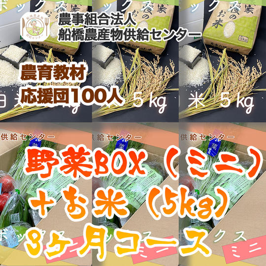 【農育応援団】感謝のお手紙と美味しい野菜通信臨時創刊号コース＋旬の野菜BOX（ミニ）＋お米（5kg）3ヶ月コース