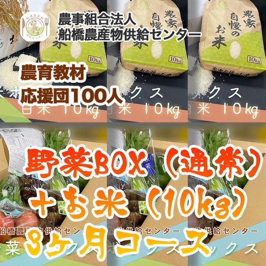 【農育応援団】感謝のお手紙と美味しい野菜通信臨時創刊号コース＋旬の野菜BOX（通常）＋お米（10kg）3ヶ月コース
