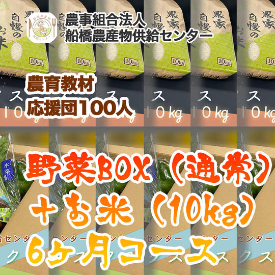 【農育応援団】感謝のお手紙と美味しい野菜通信臨時創刊号コース＋旬の野菜BOX（通常）＋お米（10kg）6ヶ月コース