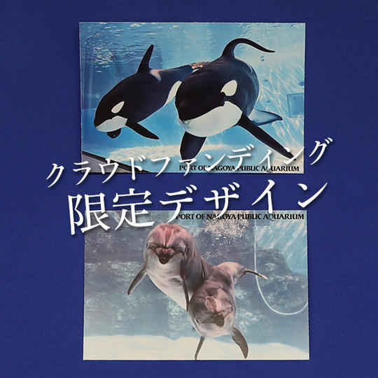 オリジナルポストカードセットA