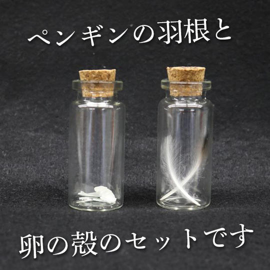 ペンギンの羽根と卵の殻セット