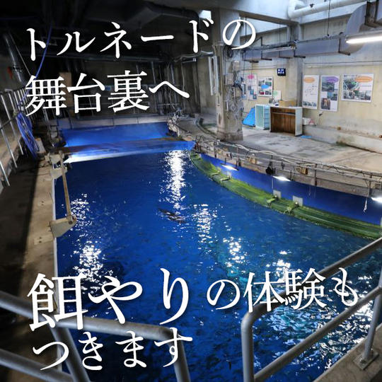 黒潮大水槽バックヤード見学