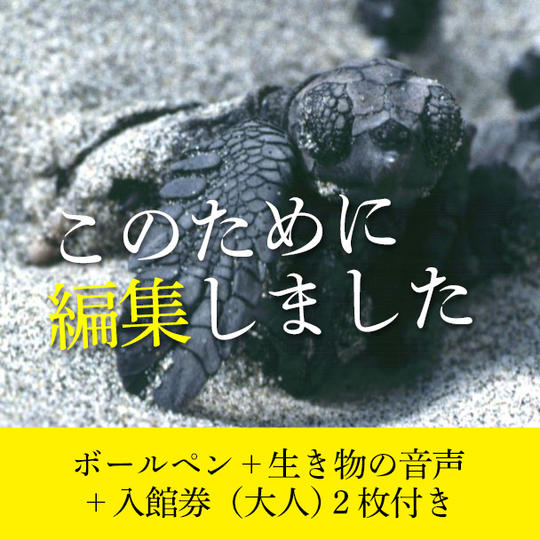 クラウドファンディング限定オリジナル動画