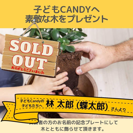 子どもCandyに素敵な木をプレゼントできる権