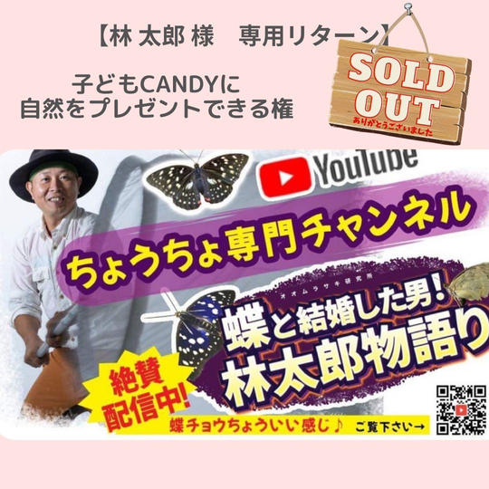 【 林 太郎(蝶 太郎)様専用リターン 】子どもCandyに自然をまとめてプレゼントできる権