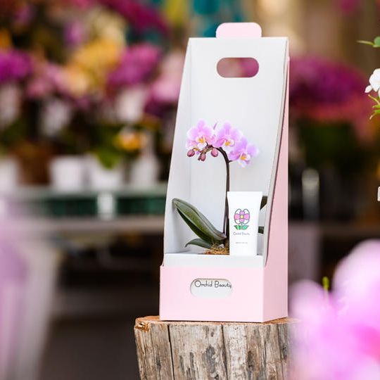 Orchid Beauty ハンドクリームサクランの香り1本とマイクロ胡蝶蘭のセット