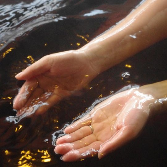 亀山温泉ホテルで味わう親子丼ランチ+入浴ペアチケット(きみつの特選親子丼5食セット付)