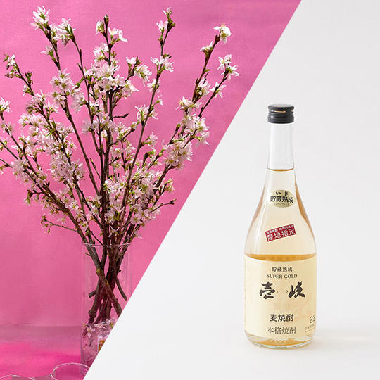 桜と【玄海酒造】壱岐スーパーゴールド22 720mlのセット