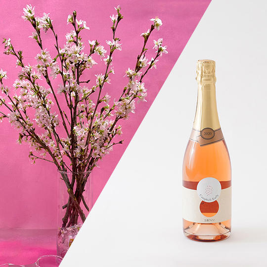 桜と【五島ワイナリー】スパークリングワイン キャンベル・アーリー2020(ロゼ) 750ml のセット