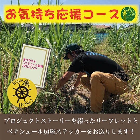 お気持ち応援コース