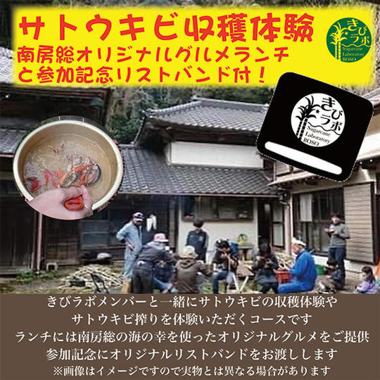 サトウキビ収穫体験（南房総オリジナルグルメランチ付）