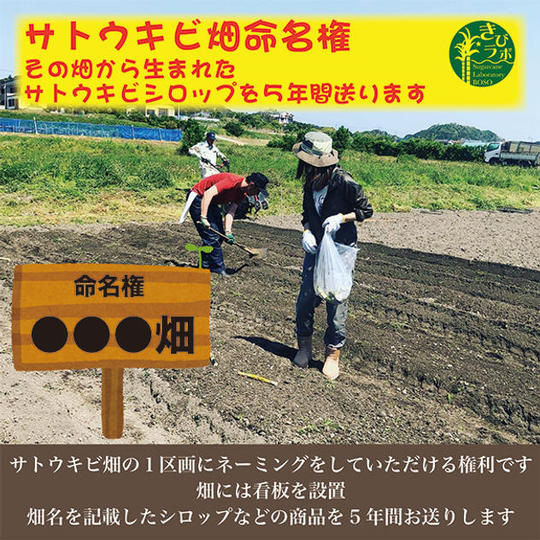 サトウキビ畑命名権