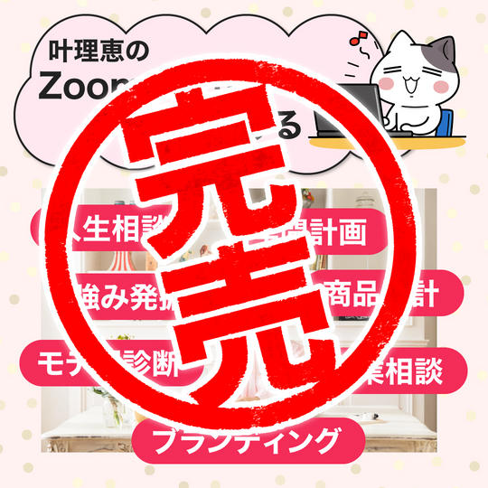 あなたのビジネスが今よりもっと加速する!商品設計&ビジネスモデル叶理恵の経営コンサル(60分)