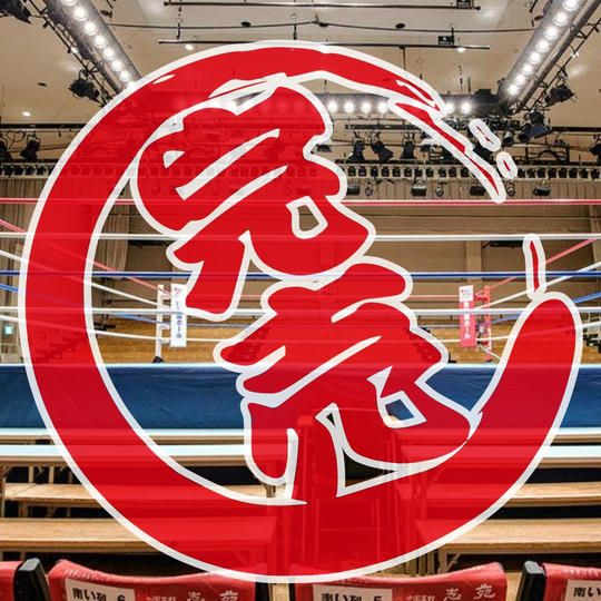 チケットSRS席「スペシャルリングサイド席」