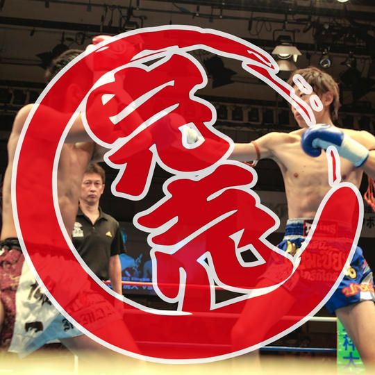 【感謝】日下滉大の横断幕にあなたのお名前を入れて応援する権 大サイズ