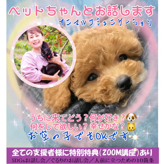 あなたのペットちゃんとお話します