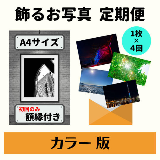 飾るお写真 定期便カラー版(年4回)