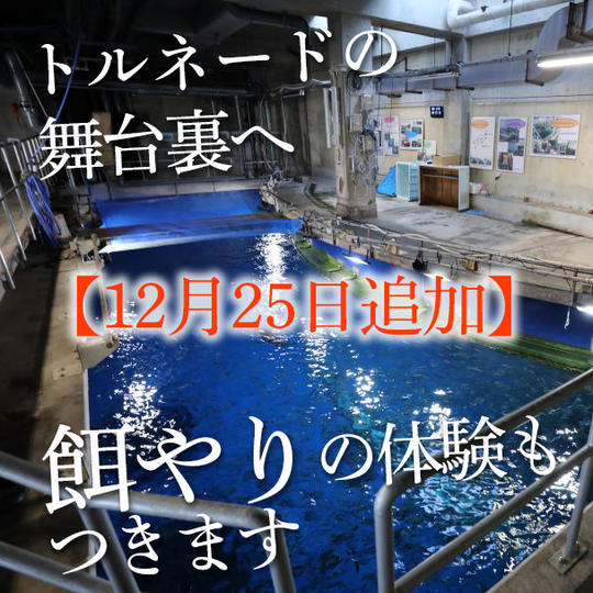【12月25日追加】黒潮大水槽バックヤード見学