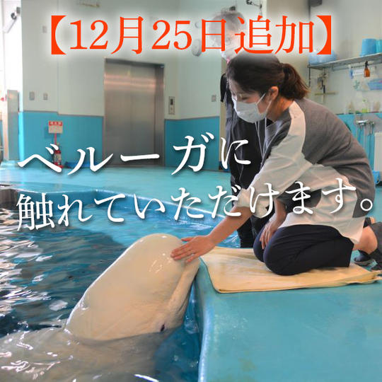 【12月25日追加】ベルーガバックヤード見学