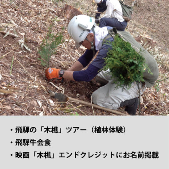 ＜プロデューサーがご案内＞飛騨の「木樵」ツアー（植林体験）飛騨牛会食付き＋エンドクレジットにお名前掲載
