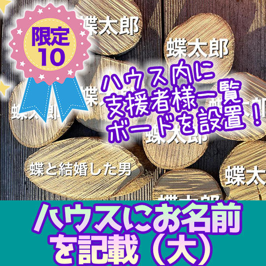 【限定１０】ハウスにお名前を記載（大） 直径１５センチ