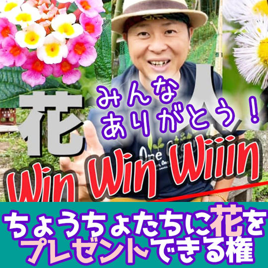 ちょうちょたちに花をプレゼントできる権 ※ちょうちょが喜ぶ花をたくさん植えます