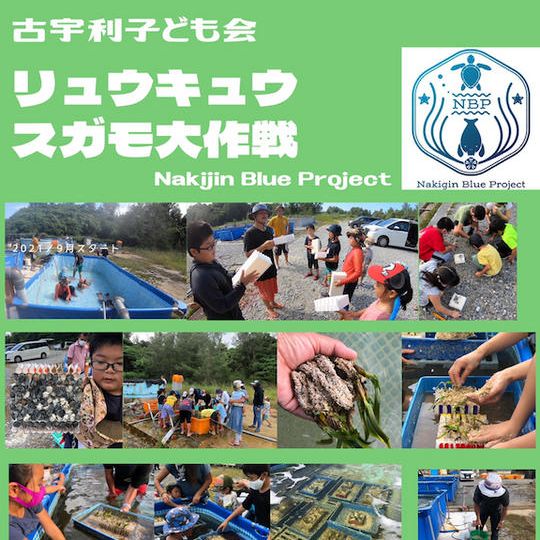 【全力応援コース】「NakijinBlueProject」へGoGreenCube500g支援