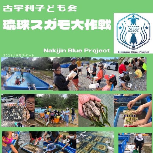 【全力応援コース】「NakijinBlueProject」へGoGreenCube1800g支援