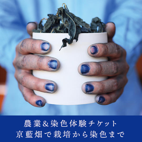 【特別工房体験】農業&染色体験チケット~京藍畑で栽培から染色まで~