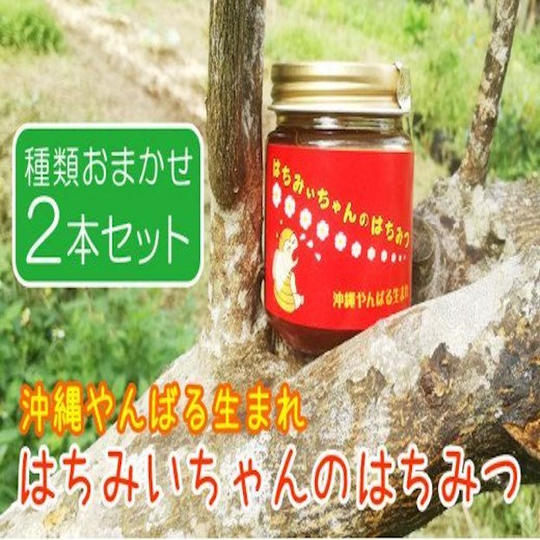 【沖縄特産品コース】はちみいちゃんのはちみつ2本セット
