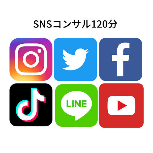 SNSオンラインコンサル120分