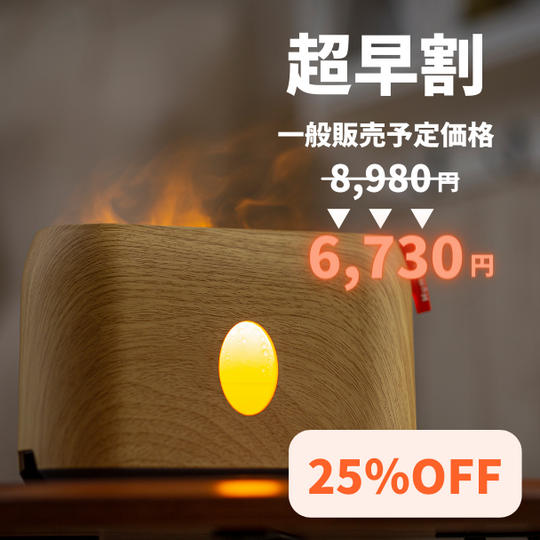  超早割 25％OFF ファイヤーミスト 1台 