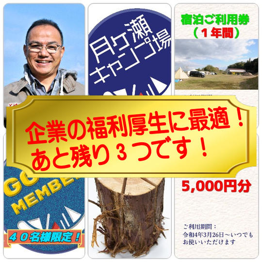 プレミアムコース/注2＋宿泊券（1年間回数無制限）・スエーデントーチ（5個）・共通商品券（5,000円/注1）