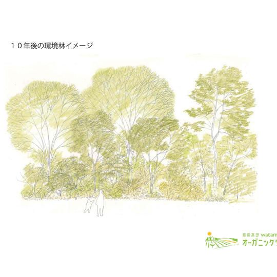 ただただ応援！