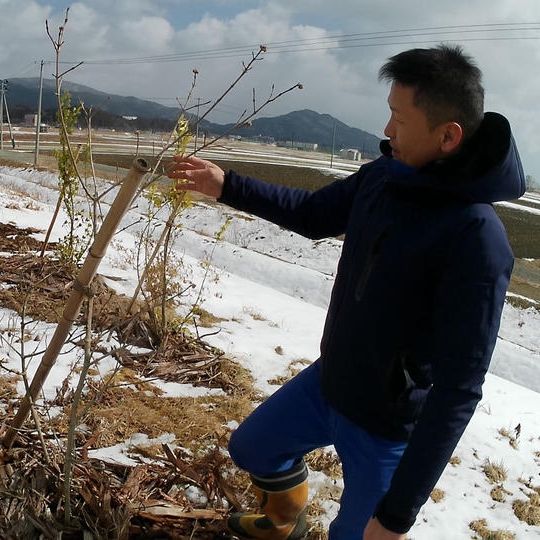 花火観覧駐車場1台＋植樹体験