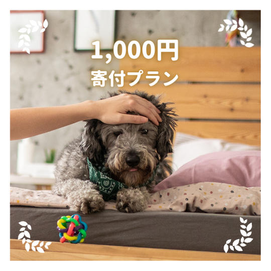 1,000円寄付プラン