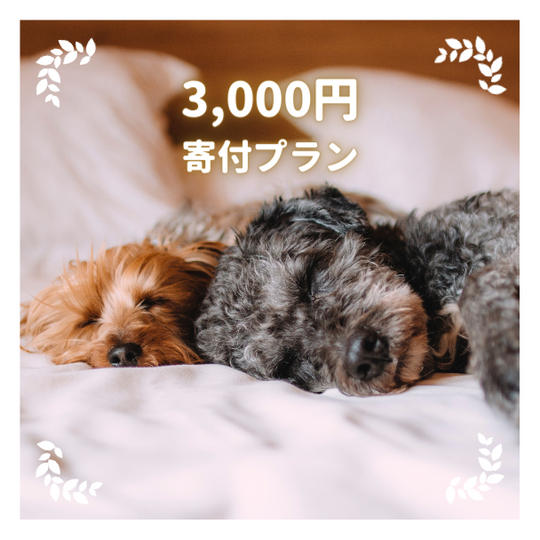 3,000円寄付プラン