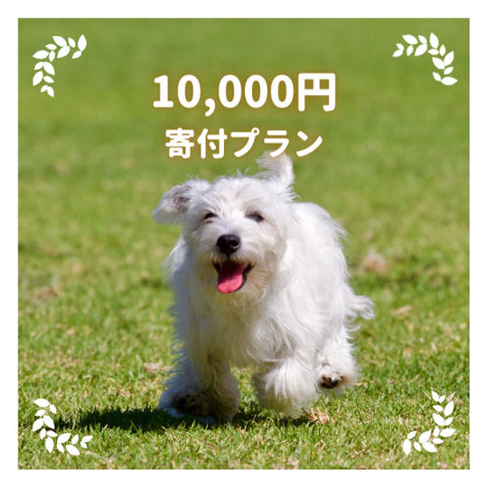 10,000円寄付プラン