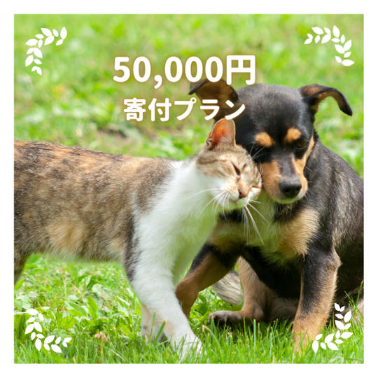 50,000円寄付プラン